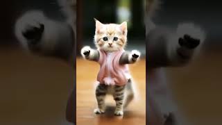 #cat #funny #dance #catlover #dancingcat #shortsvideo.........