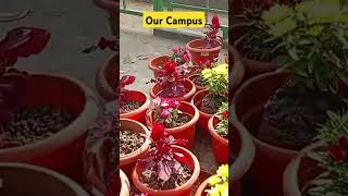 Our Campus,✅✅ #dailyvlog #reelsvideo #reelsyoutube #youtubeshorts #ytshorts #mydailyvlog