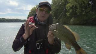 Csf 30 05 Smallmouth Bass on tube jigs.