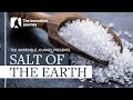 Historical Importance of Salt and How it Shaped Civilisations