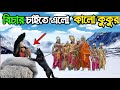 যখন একটি কালো কুকুর ভগবান শিবের কাছে বিচার চাইতে এল The story of black dog and shiva/Dharma Katha