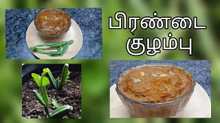 Pirandai  Kulambu Recipe - FDF TAMIL