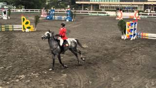 2015.5.9 東京都馬術大会 東京障碍80cm 小山・ナイトシアター