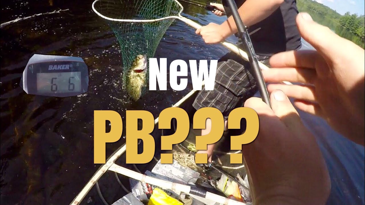 New Pb Youtube