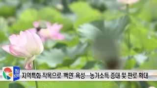 함양 백연산업 육성 및 명소화사업 신규 창조지역사업 선정