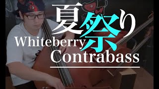 コントラバスで【夏祭り】Whiteberry #夏歌