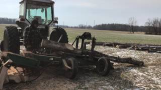 Processing Ash Trees for Firewood