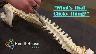 Dr. Katelyn Begley Chiropractic Activator