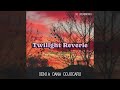 twilight reverie koto piano synthwave