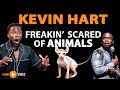 Funny | Hilarious | Kevin Hart Freaking Scared of  Animals #KevinHart #Scared #Animals