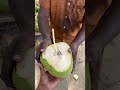 hardworking south anna selling fresh coconut in kanyakumari shorts