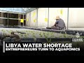 Entrepreneurs in Libya turn to aquaponics to fight worsening water scarcity