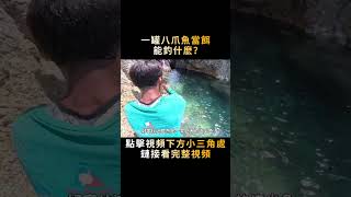 把一罐子兇猛的八爪魚掛上魚鉤，什麽魚敢吃？大貨連連意想不到#shorts