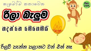 හැමෝම කතාවෙන රිලා බැලුම හදන්නෙ මෙහෙමයි | රිලව් පැත්ත පලාතෙ වත් ඉන්නෙ නෑ  |  Waga Danuma