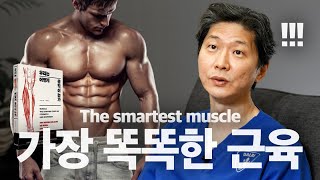 [*Eng] 신체에서 가장 영리한 근육이 여기라고? | Did you know this is the most intelligent muscle in the body?