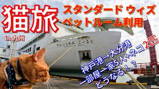 個室で安心フェリー旅！猫旅！vol.01 フェリーさんふらわあ ごーるど ウィズペットルーム ペットと同室宿泊移動！神戸港→大分港【フェリーで日本一周】【日本一周 船の旅】