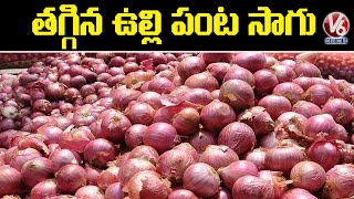 రాష్ట్రంలో తగ్గిన ఉల్లి పంట సాగు | Onion Prices | V6 News