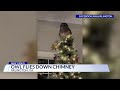 owl flies down chimney of arlington home to become christmas tree s new star