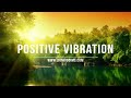 reggae instrumental