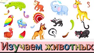 Где чей хвост? Знакомимся с животными в игровой форме🌈🦁🦄 Развивающие мультики для малышей🌸🌟