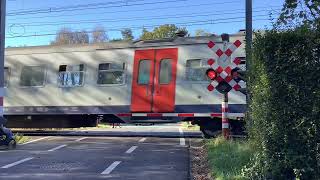 Spoorwegovergang Kalmthout//Belgium Railroad crossing 🇧🇪