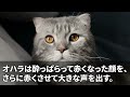 【スカッとする話】月72時間残業し働く俺に突然のクビ宣告。新部長「残業代目当ての給与泥棒はクビw」→退職翌日、海外企業から苦情が殺到。部長「担当を呼べ！」社員「昨日、部長がクビにしましたが？」「え？」