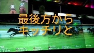 【スタホ実況】スタホ3(ワンダーシープ号／第11戦:WBCT)