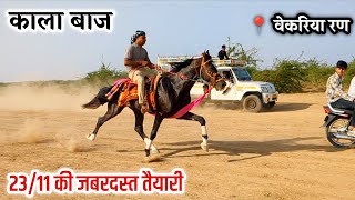 Kala Bazz | 23/11 रेस की बडी तैयारी | Reval Chal | Single Footer | The Hunter |