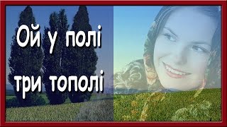 Українська Народна Пісня. Ой У Полі Три Тополі