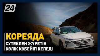 Кореяда сутекпен жүретін көлік көбейіп келеді