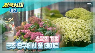 [전국시대] 수국의 계절 공주 유구에서 꽃 데이트 (공주)