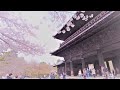 Kyoto Cherry Blossom Viewing Stroll Part4 | Nanzenji Temple - Philosopher's Path｜Japan｜4K-ASMR