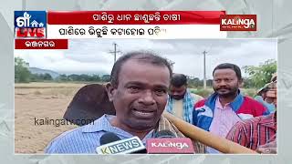 Unseasonal rain ruins crops in Bhanjanagar, Odisha || Kalinga TV