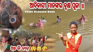 ଆଦିବାସୀ ମାନଙ୍କର ବୃକ୍ଷ ପୂଜା ॥ ରାଣୀ ଘରେ ରଙ୍ଗ ଦଉଛି ।