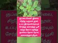 🤔இத தெரிஞ்சுக்கோங்க 👌 short muhiltamil shorts ytshorts homeremedies ayurveda yt tips beauty