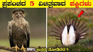 ಪ್ರಪಂಚದ ಅತ್ಯಂತ 5 ವಿಚಿತ್ರವಾದ ಪಕ್ಷಿಗಳು | Top 5 Rarest and unique Bird's in the World 🪿