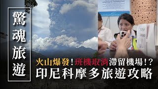 科摩多驚魂記！火山爆發滯留機場！Manta看到飽？超美粉紅沙灘！全世界最大的蜥蜴！？