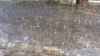 下雨天，很喜欢下雨的但是却讨厌被淋湿