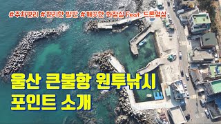 울산 큰불항\u0026주전마을 원투낚시포인트 소개