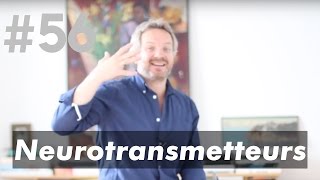 Les Neurotransmetteurs (dopamine, acétylcholine, GABA, sérotonine)