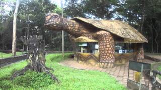 THEKKADY TORTOISE RESTAURANT