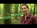 was den hambacher wald besonders macht