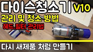 Dyson V10 다이슨 무선 청소기 관리 및 청소 방법, 헤드 분리, 필터 청소, 다시 새제품 처럼 만들기!