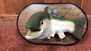 ROCKY RAINBOW TROUT (UK version) Reupload