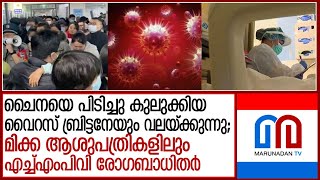 മാരകമായ കുരങ്ങു പനിയും ബ്രിട്ടനില്‍ പടരുന്നു; ദുരൂഹ വൈറസിനെ ഭയന്ന് യൂറോപ്പ് l Britain