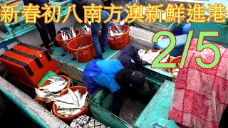 2/5 大年初八南方澳新鮮進港 斑點石鯛 台灣馬加鰆 午仔魚 鱸麻鱠 正當時的煙仔虎 等等好物 2025