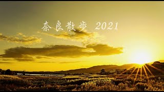 奈良散歩  2021