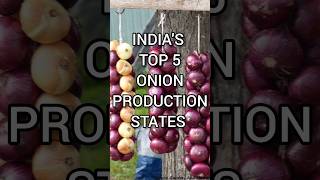 India's Top 5 Onion Production States  #onion #agriculture #karnataka #youtubeshorts #shorts #viral