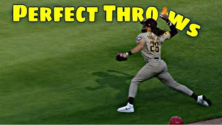 MLB | Cannon Arms 2025