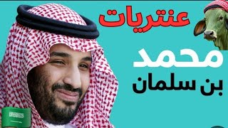 عنتريات محمد بن سلمان الإعلامية